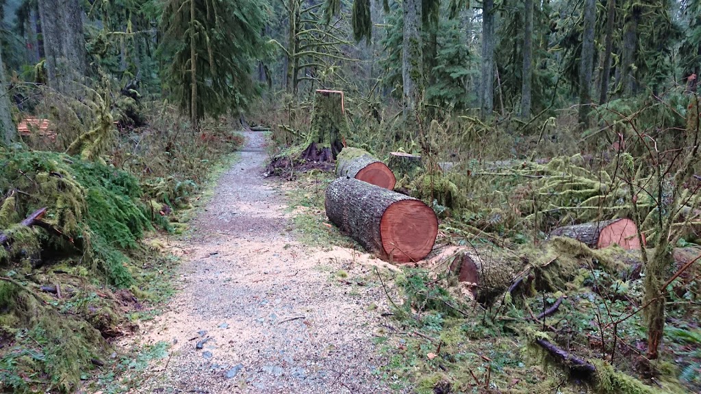 Horseshoe Trail | Horseshoe Trail, Anmore, BC V3H 4Y7, Canada