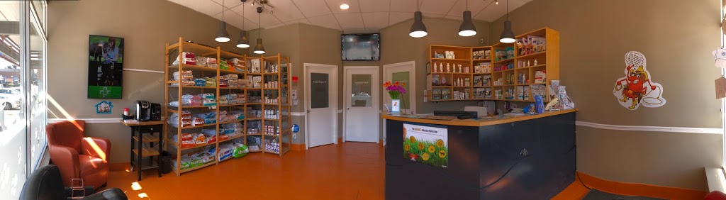 Panorama Village Animal Hospital | #104 - 15149, Highway 10 and, 152 St, Surrey, BC V3S 9A5, Canada | Phone: (604) 575-1133