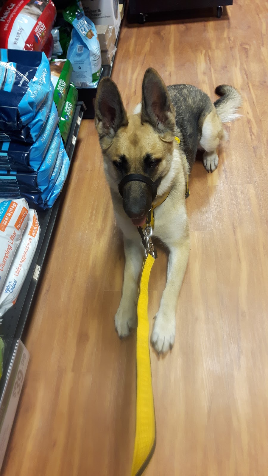 Pet Valu | 1535 ON-7A, Port Perry, ON L9L 1B5, Canada | Phone: (905) 985-3223