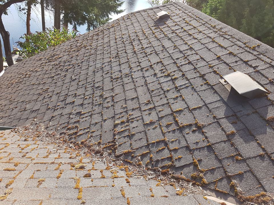 Roof Demossing Victoria | 504-707 Esquimalt Rd, Victoria, BC V9A 3L7, Canada | Phone: (778) 400-4724