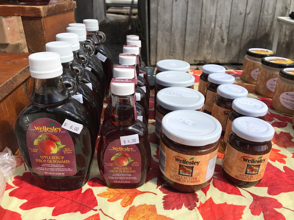 Sugarbush Maple Syrup Festival at Bruces Mill Conservation Area | 3291 Stouffville Rd, Whitchurch-Stouffville, ON L4A 7X5, Canada | Phone: (905) 887-5531