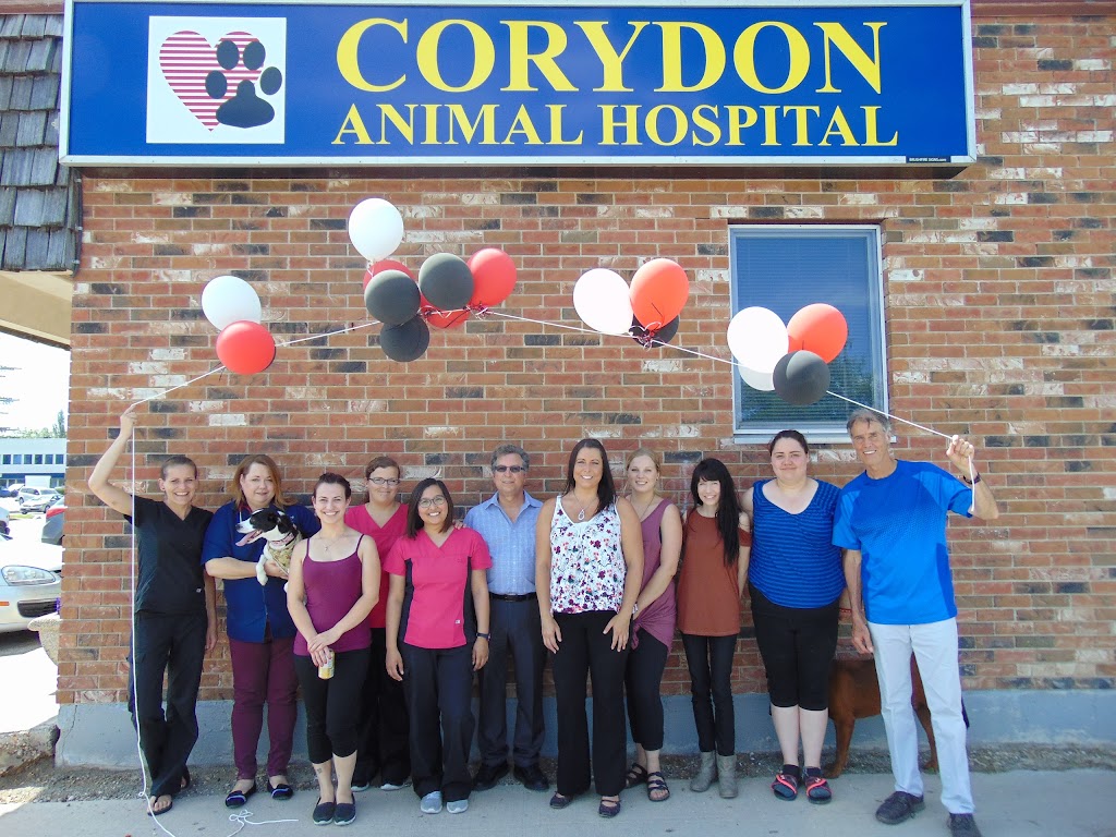 Corydon Animal Hospital | 1675 Corydon Ave, Winnipeg, MB R3N 0J8, Canada | Phone: (204) 488-4577