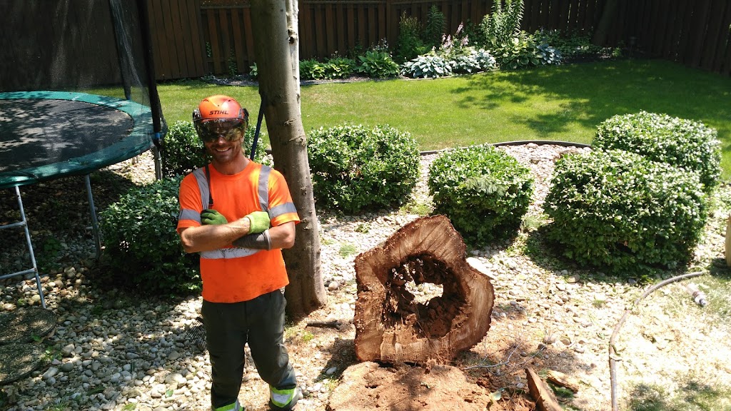 Beswick Tree Service | 418A Whitney Ave Unit C2, Hamilton, ON L8S 2H8, Canada | Phone: (905) 529-5612