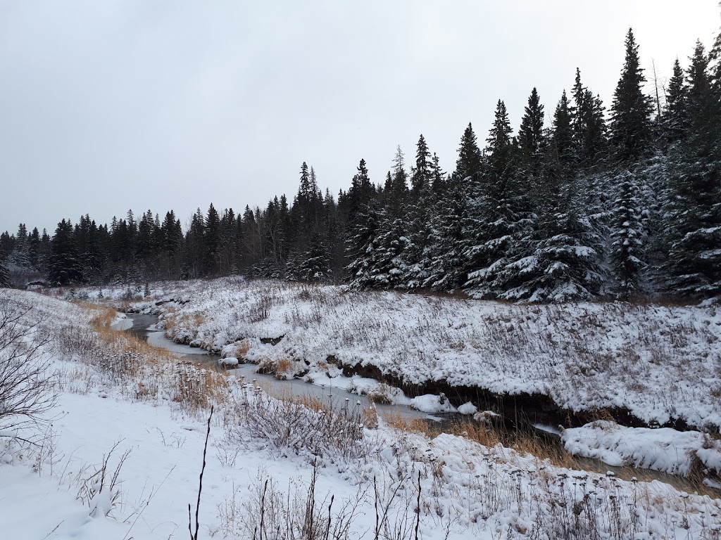 Larch Sanctuary | MacTaggart Sanctuary Trail Loop, Edmonton, AB T6J 5N2, Canada