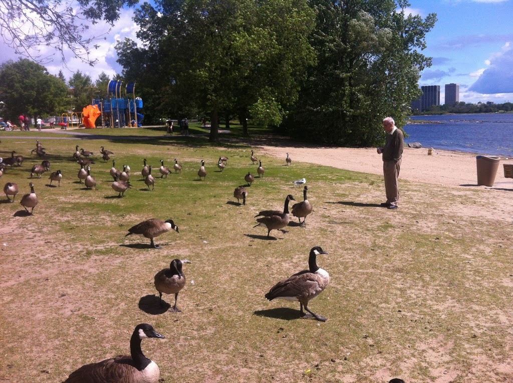 Parc Moussette | 361 Boulevard de Lucerne, Gatineau, QC J9A, Canada