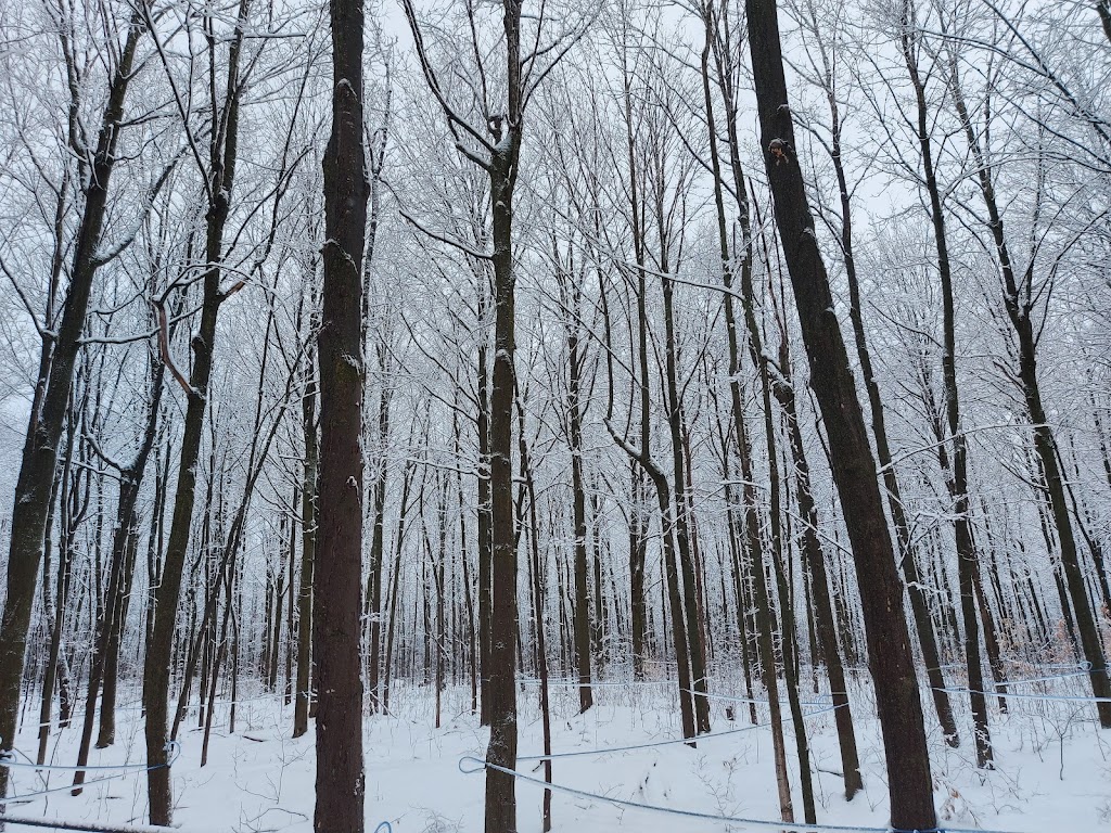 Erablière du Boisé St-Jean-Baptiste | 268 St-jean-baptiste, Saint-Chrysostome, QC J0S 1R0, Canada | Phone: (514) 617-3216