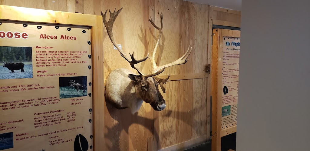 WILDLIFE INTERPRETIVE CENTRE at Lake Louise Ski Resort | Lake Louise, AB T0L, Canada | Phone: (877) 956-8473