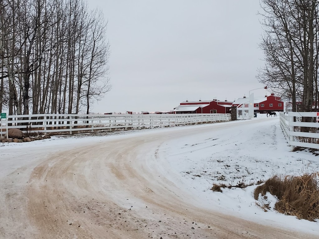 Westana Equine Rehabilitation & Conditioning Centre | Range Rd 211, Redwater, AB T0A 2W0, Canada | Phone: (780) 736-3537