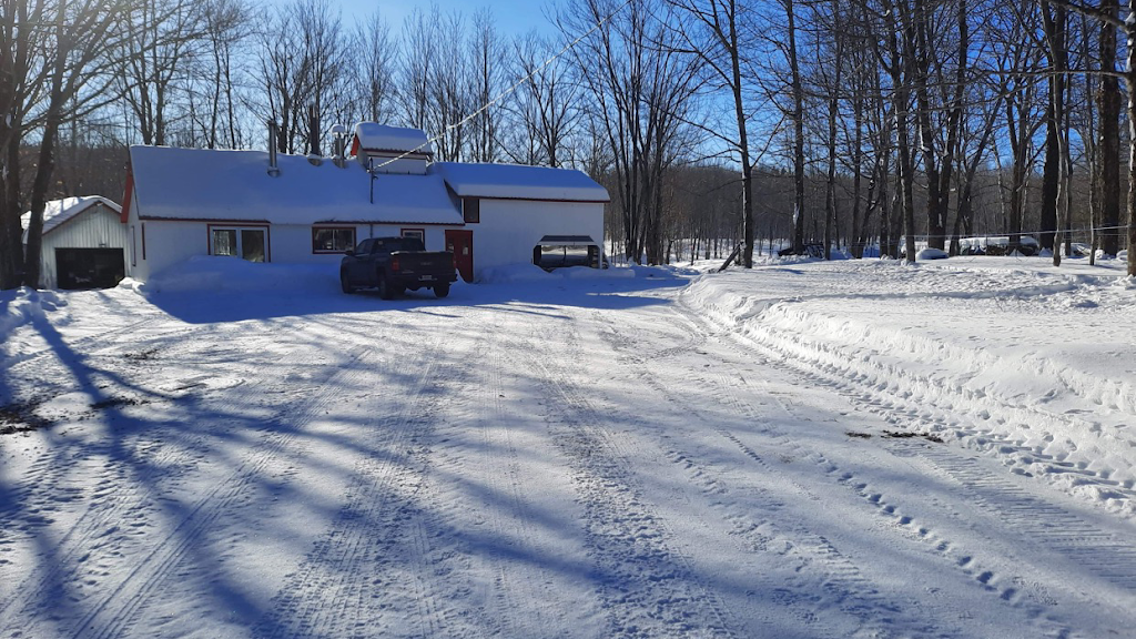 Cabane St-Raph | 196 Chem. Tadoussac, Saint-Raphaël, QC G0R 4C0, Canada | Phone: (581) 748-5446