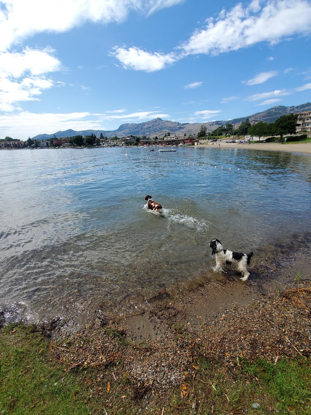 Legion Beach Park | 89 St, Osoyoos, BC V0H 1V1, Canada | Phone: (250) 495-6191