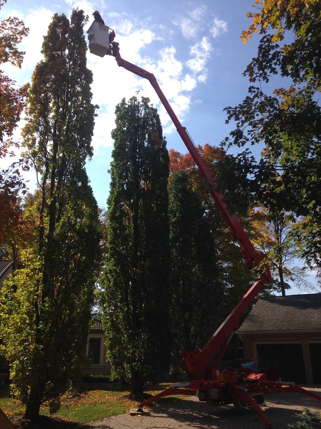 A&J Tree and Shrub Care Inc. | 451 Wilson St, Eden Mills, ON N0B 1P0, Canada | Phone: (519) 856-4226
