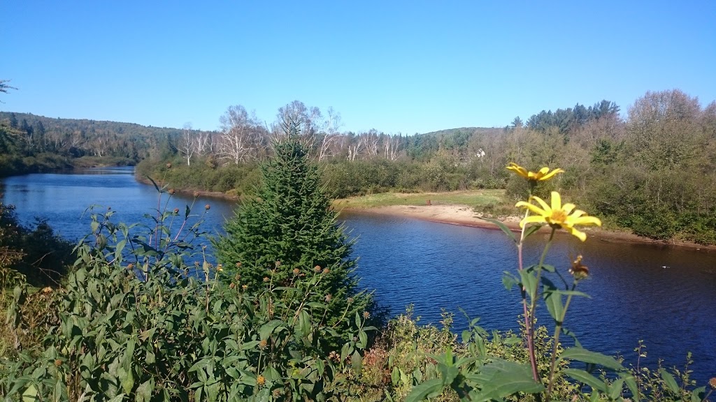 Auberge des Pins Rouges | 8021 Rang des Pins-Rouges, Saint-Alexis-des-Monts, QC J0K 1V0, Canada | Phone: (819) 265-4777