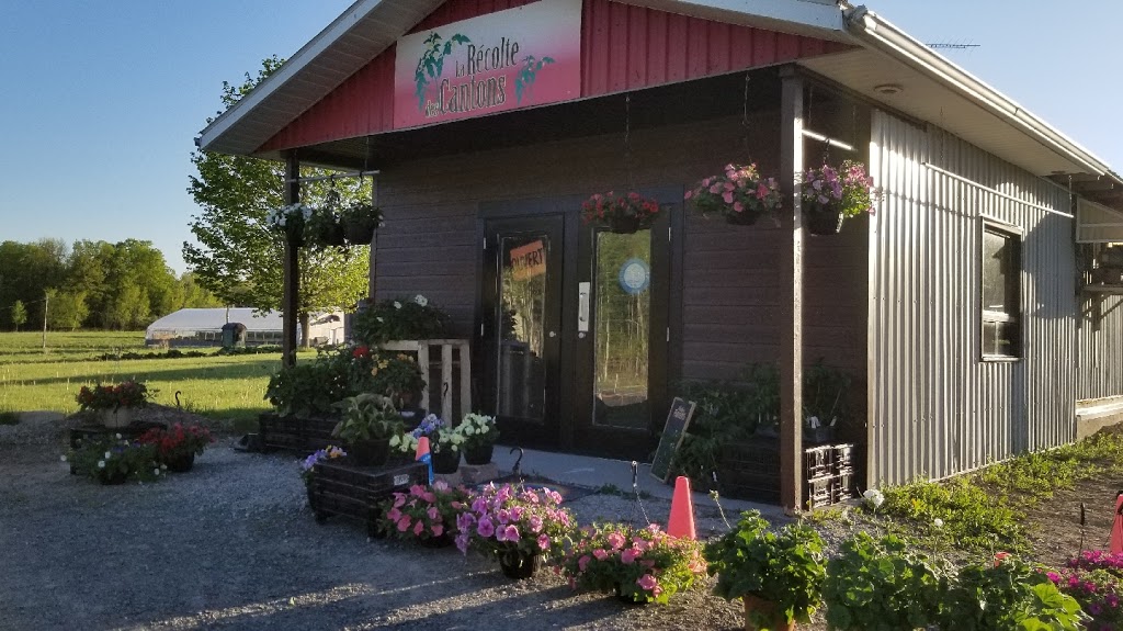 La Récolte des Cantons | 603 Route 139, Bromont, QC J2L 2Z9, Canada | Phone: (450) 263-2316