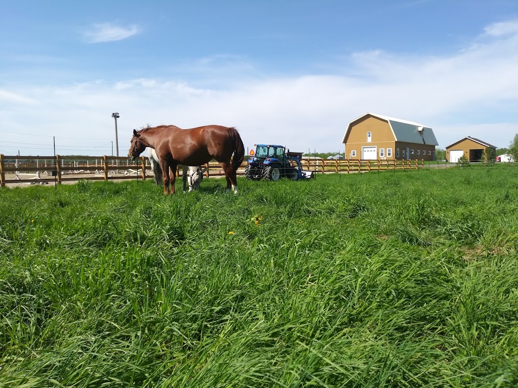 Ferme Willowbrook Farm (École déquitation classique) | 9125 Rue St Vincent, Mirabel, QC J7N 2V5, Canada | Phone: (514) 606-3327