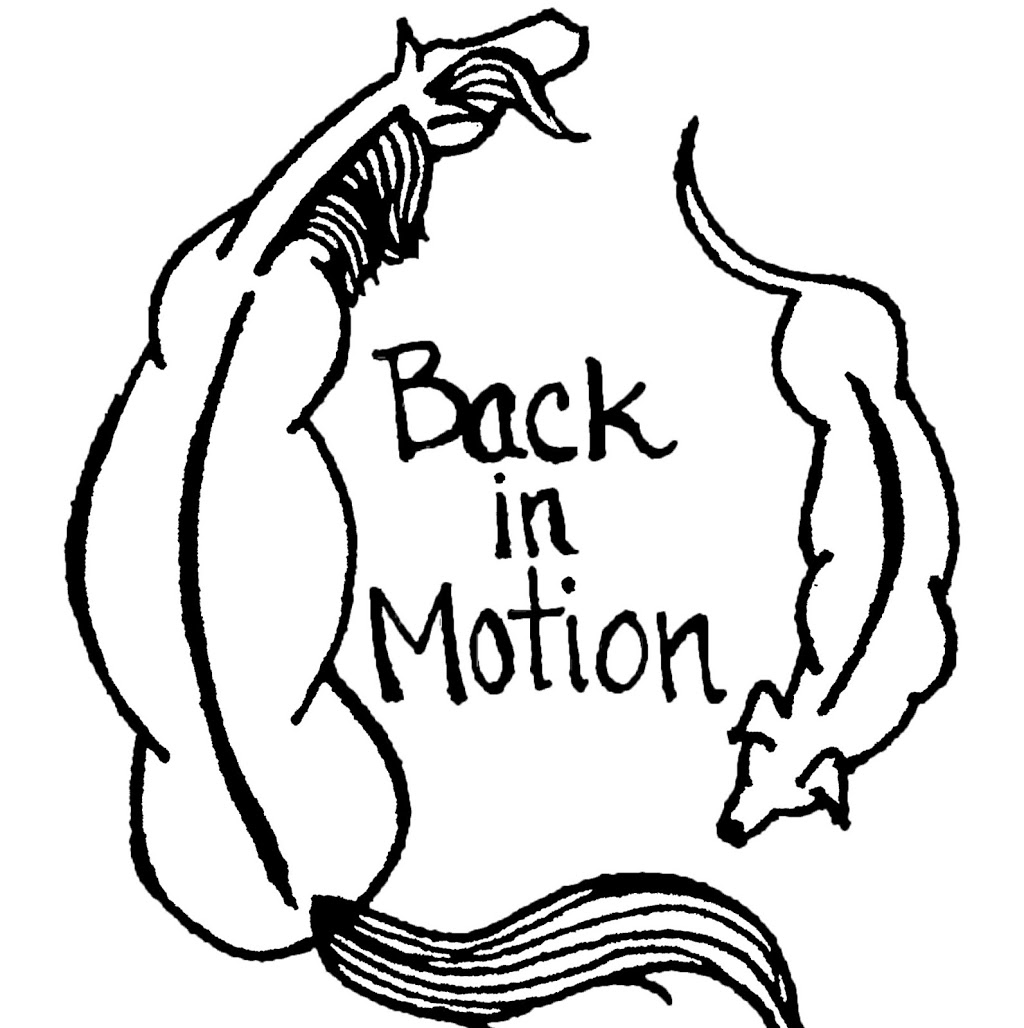 Back In Motion LLC | 6071 Bunting Rd, Orchard Park, NY 14127, USA | Phone: (716) 253-2408