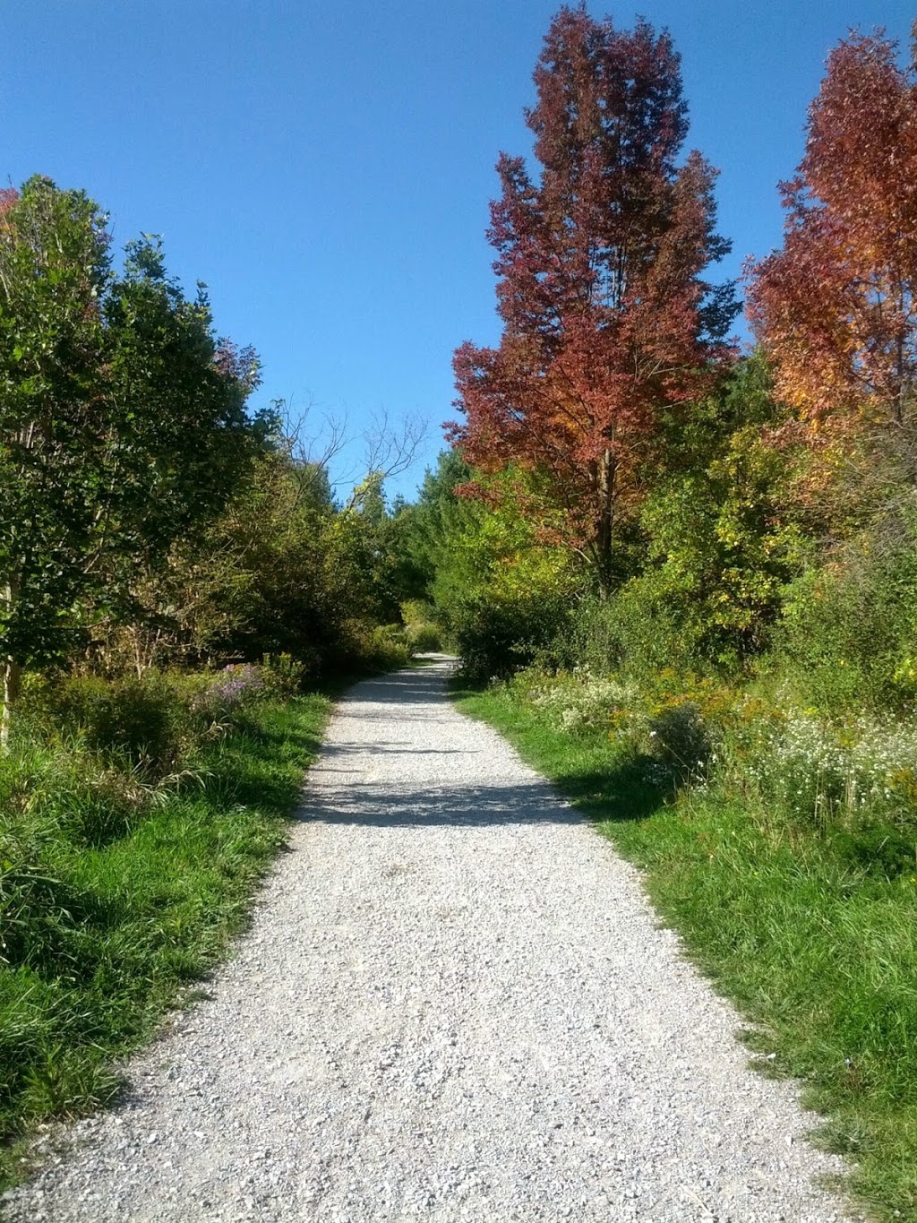 Kortright Centre for Conservation | 9550 Pine Valley Dr, Woodbridge, ON L4L 1A6, Canada | Phone: (905) 832-2289