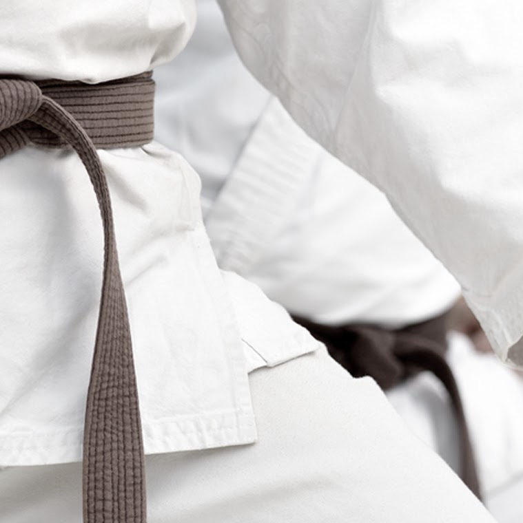 Yamato Karate Academy | 60 Rue Saint-Pierre, Sainte-Anne-de-Bellevue, QC H9X 1X9, Canada | Phone: (514) 442-9124