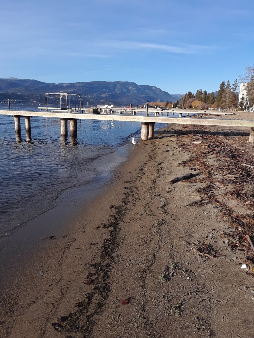 Lakeshore Road Beach Access | 4074 Lakeshore Rd, Kelowna, BC V1W 1V6, Canada