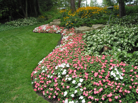 Green Ventures Landscape Care Limited | 75 Howard Pl, Kitchener, ON N2K 2Z4, Canada | Phone: (519) 571-7888