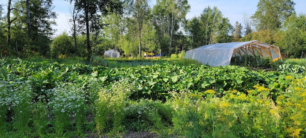 Jardin des Collines-de-lOutaouais | 4 Chem. Foley, Cantley, QC J8V 3H5, Canada | Phone: (514) 677-4148