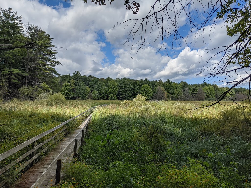 Jones Creek Trails - Thousand Islands National Park | 1231-1241 Thousand Islands Pkwy, Mallorytown, ON K0E 1R0, Canada | Phone: (613) 923-5261