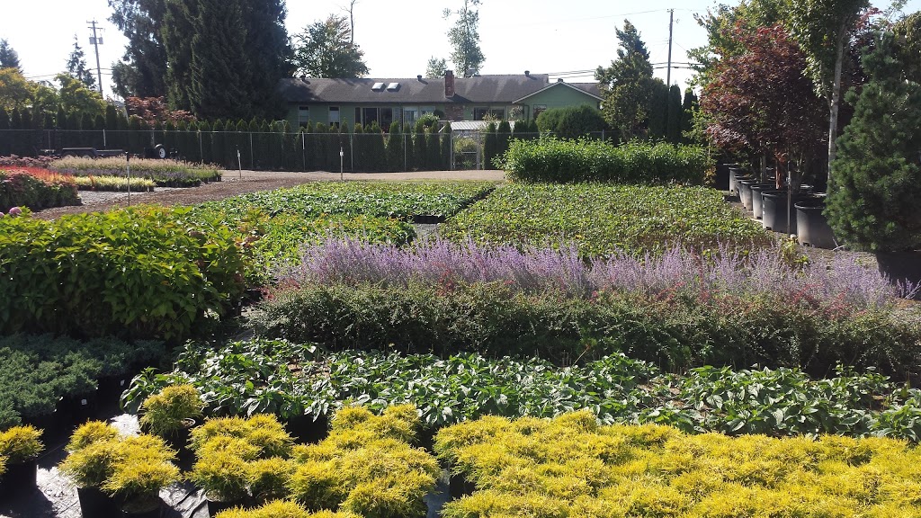 East Richmond Nurseries Inc. | 18431 Westminster Hwy, Richmond, BC V6V 1B1, Canada | Phone: (604) 278-0976