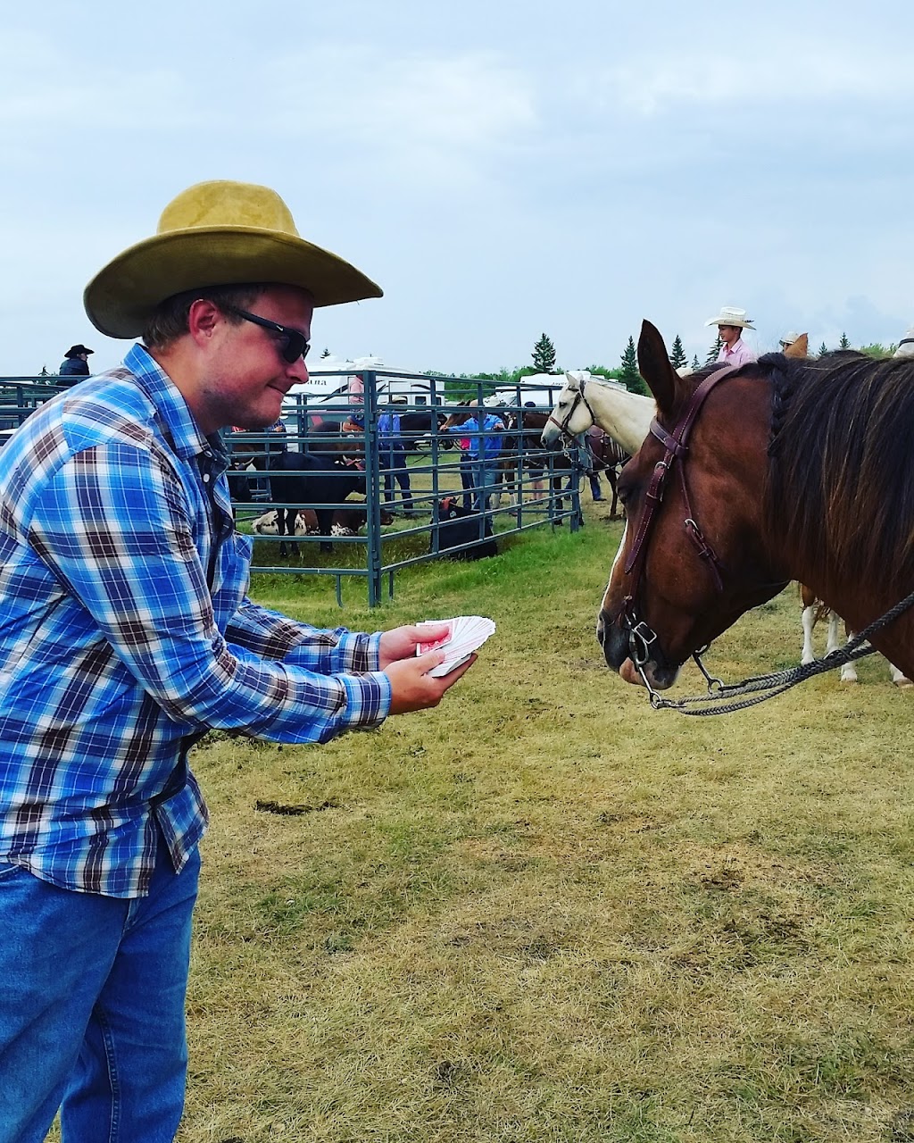 Richer Roughstock Rodeo | Richer Perimeter Rd, Richer, MB R0E 1S0, Canada | Phone: (204) 223-2570