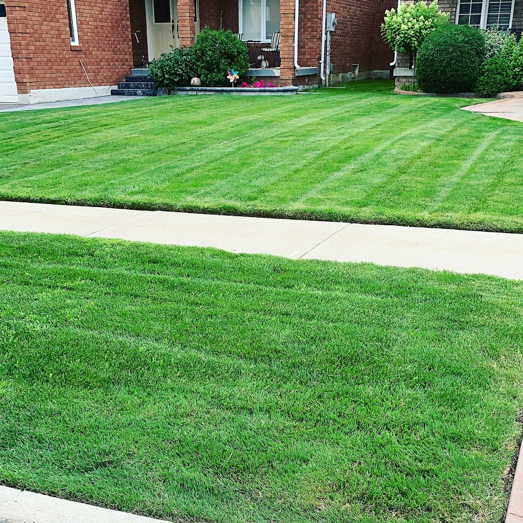 Little’s Lawn Care | 132 Stephen Dr, Bolton, ON L7E 4Y1, Canada | Phone: (416) 951-8209