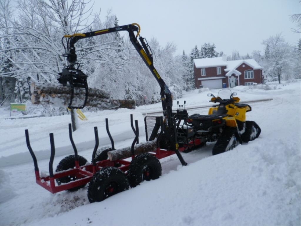 Arboriculture Renauld Vachon | 90 Rue du Lac, Scott, QC G0S 3G0, Canada | Phone: (418) 387-8376