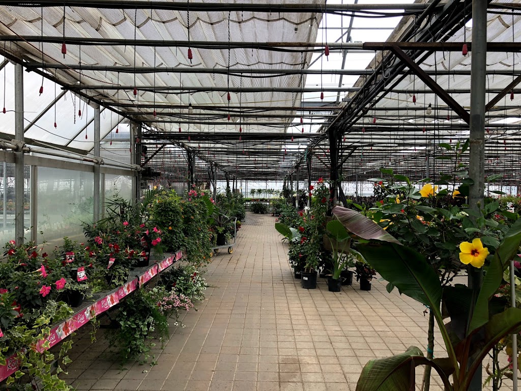 Tree Valley Garden Centre | 4431 Stouffville Rd, Whitchurch-Stouffville, ON L4A 7X5, Canada | Phone: (905) 640-2020