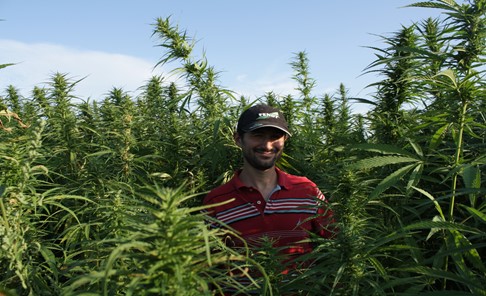 Global Hemp Group Inc. | 1169 Mt Seymour Rd #106, North Vancouver, BC V7H 2Y4, Canada | Phone: (778) 726-2900