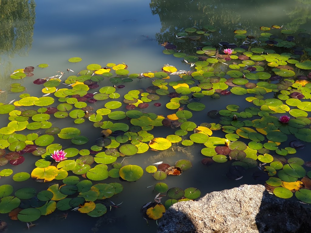 Dr. Sun Yat-Sen Classical Chinese Garden | 578 Carrall St, Vancouver, BC V6B 5K2, Canada | Phone: (604) 662-3207