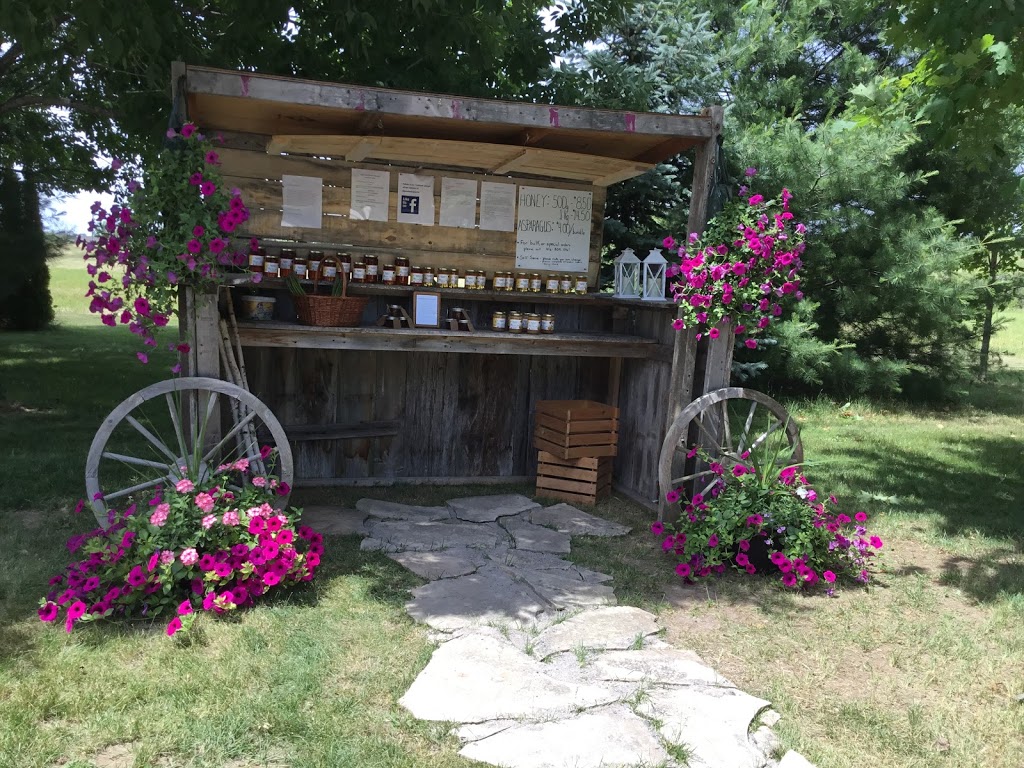 MoreRoses Apiaries & Honey | 29 Marine Dr, Hastings, ON K0L 1Y0, Canada | Phone: (416) 809-1561