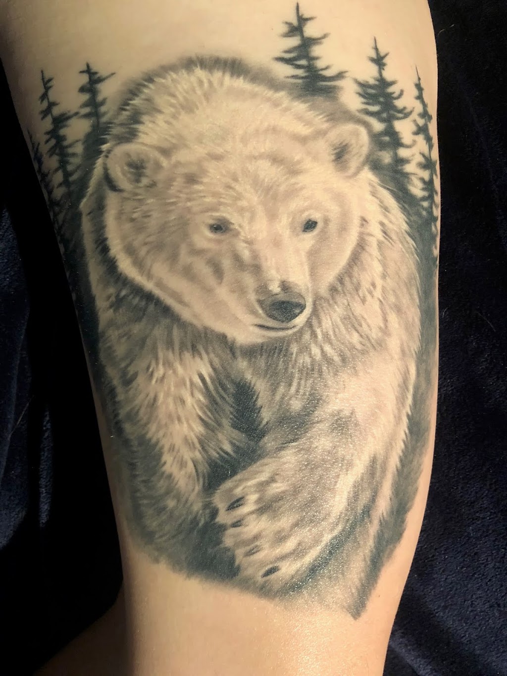 Whistler Tattoo Company | 4370 Lorimer Rd #234, Whistler, BC V8E 1A6, Canada | Phone: (604) 932-0572