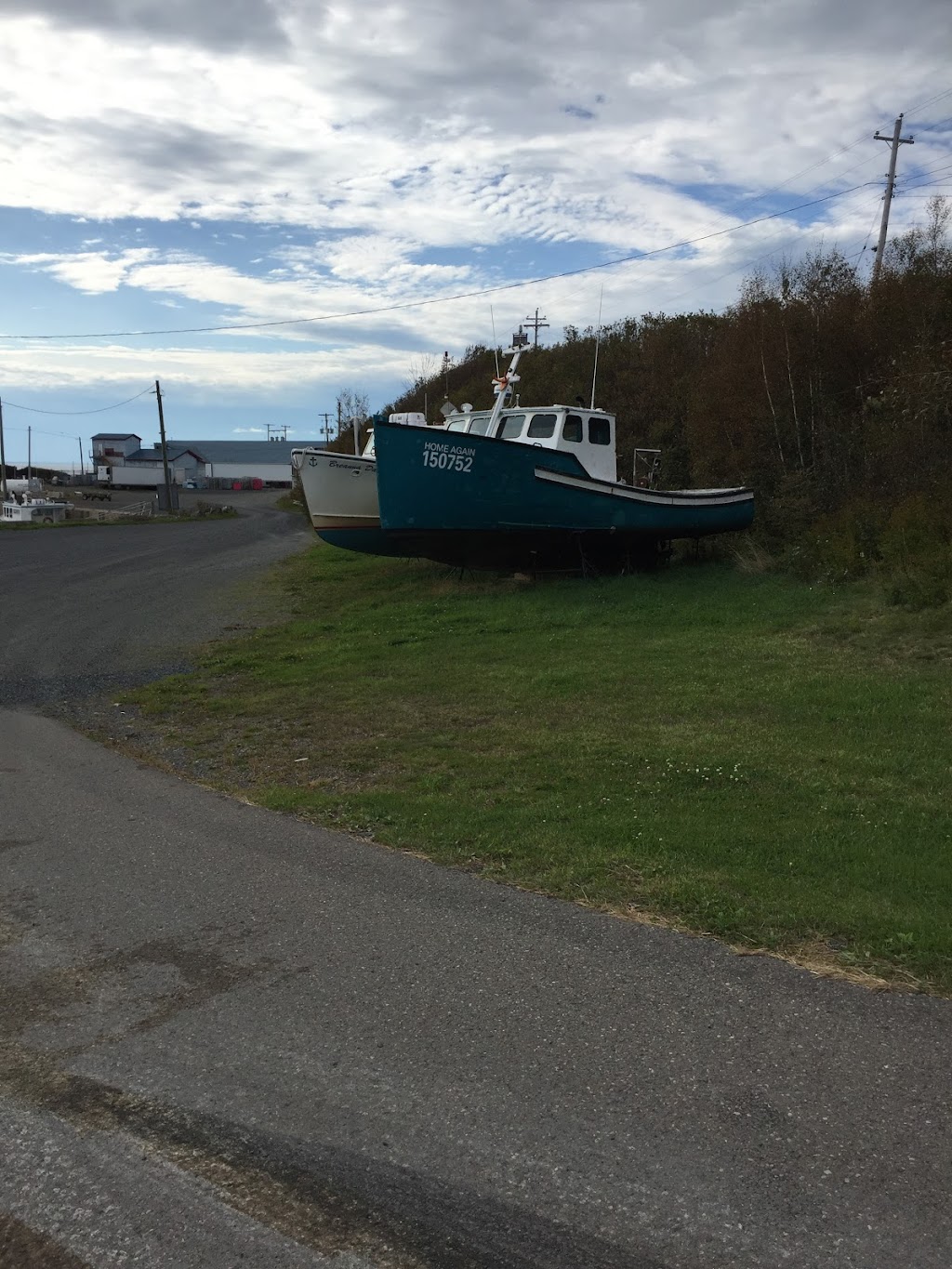 Lismore Seafoods Inc. | 161 Factory Rd, Merigomish, NS B0K 1G0, Canada | Phone: (902) 926-2500