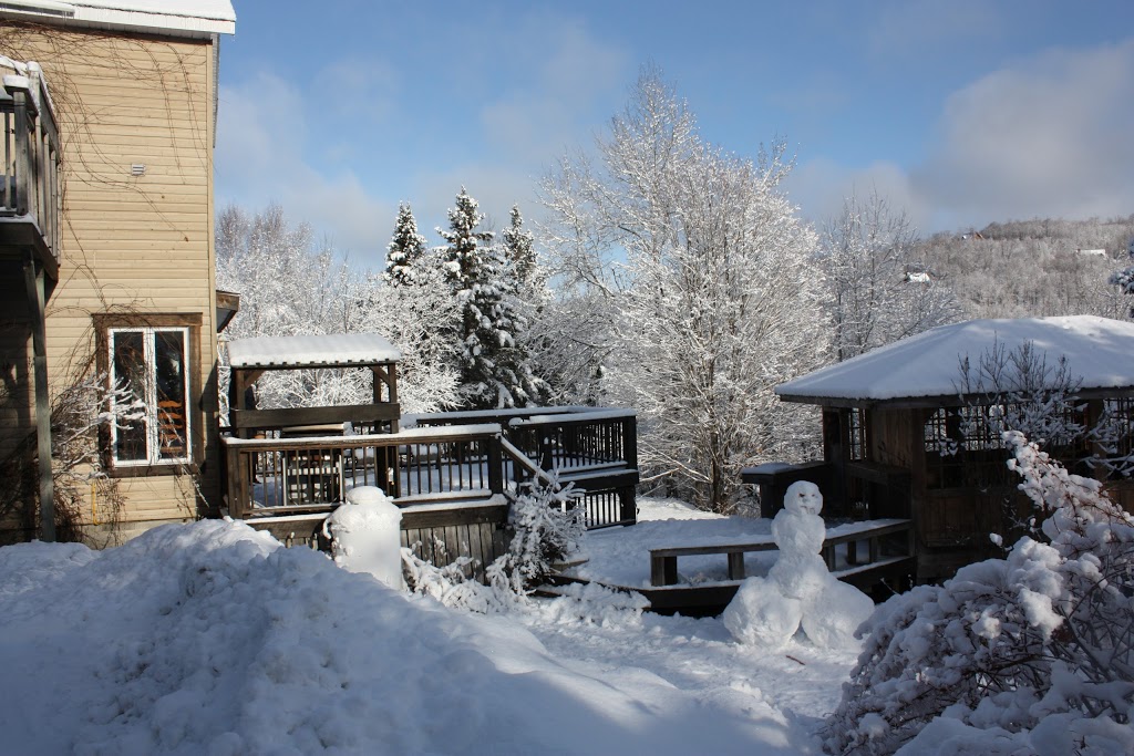 Chalets & Studios Le Vent Du Nord | 1954 Chemin du Lac Supérieur, Lac-Supérieur, QC J0T 1P0, Canada | Phone: (819) 688-6140