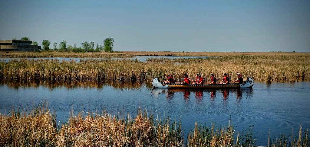 Oak Hammock Marsh Interpretive Centre | 1 Snow Goose Bay, Stonewall, MB R0C 2Z0, Canada | Phone: (204) 467-3300