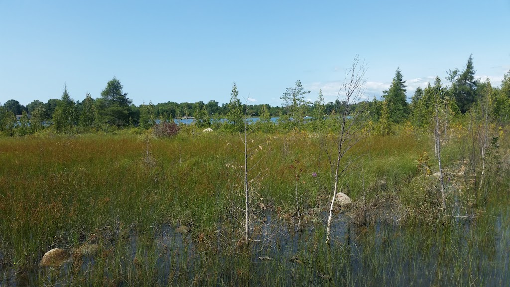 Petrel Point Nature Reserve | Petrel Point Rd, South Bruce Peninsula, ON N0H 1X0, Canada | Phone: (800) 440-2366