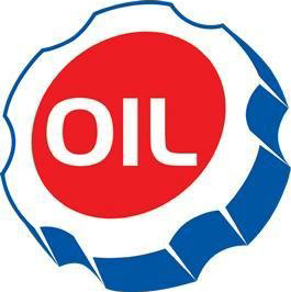 Pro Oil Change | 483 King St, Midland, ON L4R 3N4, Canada | Phone: (705) 302-3046