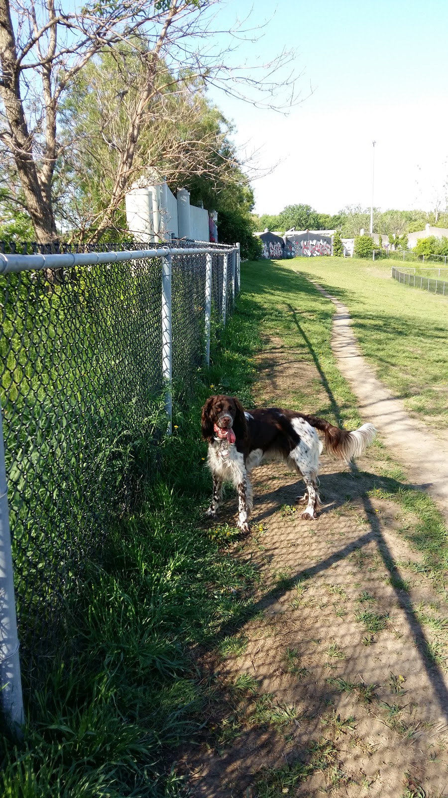 dog park Falco (Laval-des-Rapides) | 5V2, 6e Rue, Laval, QC H7N 5V2, Canada