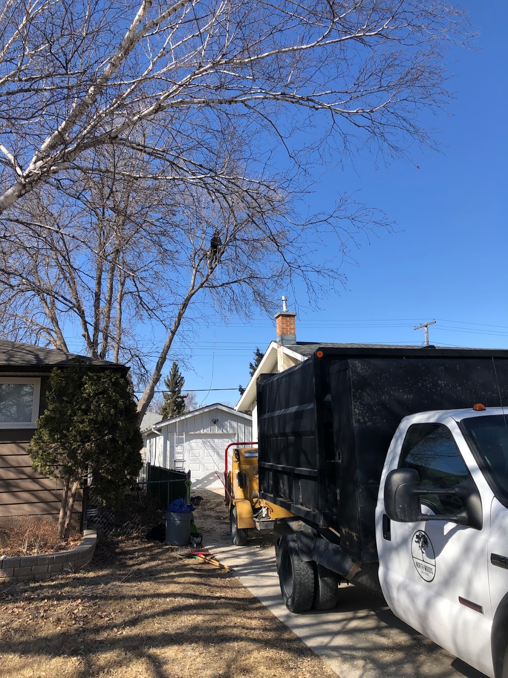 North Woods Tree Service | 807 South Dr, Winnipeg, MB R3T 0C5, Canada | Phone: (204) 955-6575