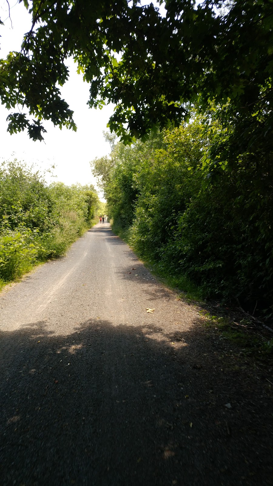 Galloping Goose Regional Trail - Aldeane Avenue Parking Lot | Galloping Goose Trail, Victoria, BC V9B 2C6, Canada