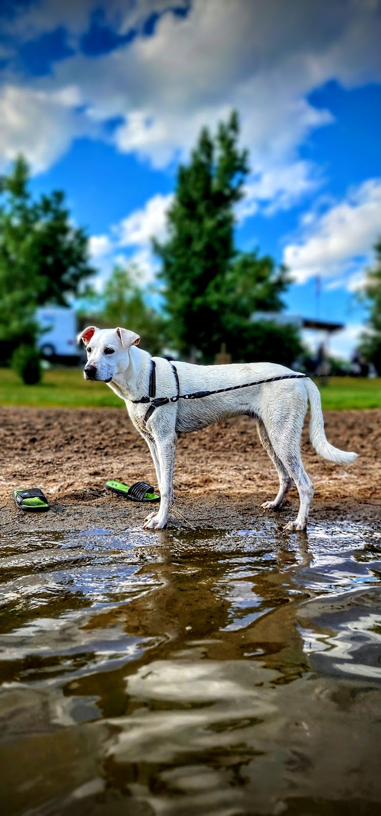 Gold Springs Park Campground | Coutts, AB T0K 0N0, Canada | Phone: (403) 647-2277