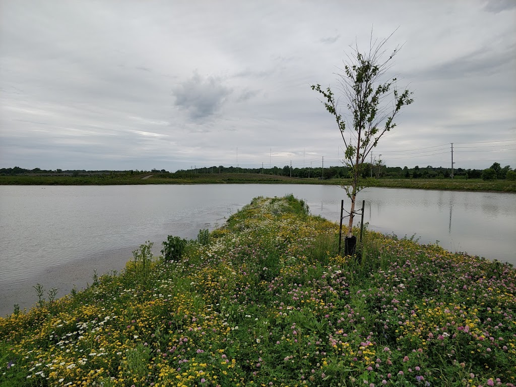 Gregory Casey Stormwater Management Facility | 4235 McKenna Casey Dr, Nepean, ON K2J 4S8, Canada