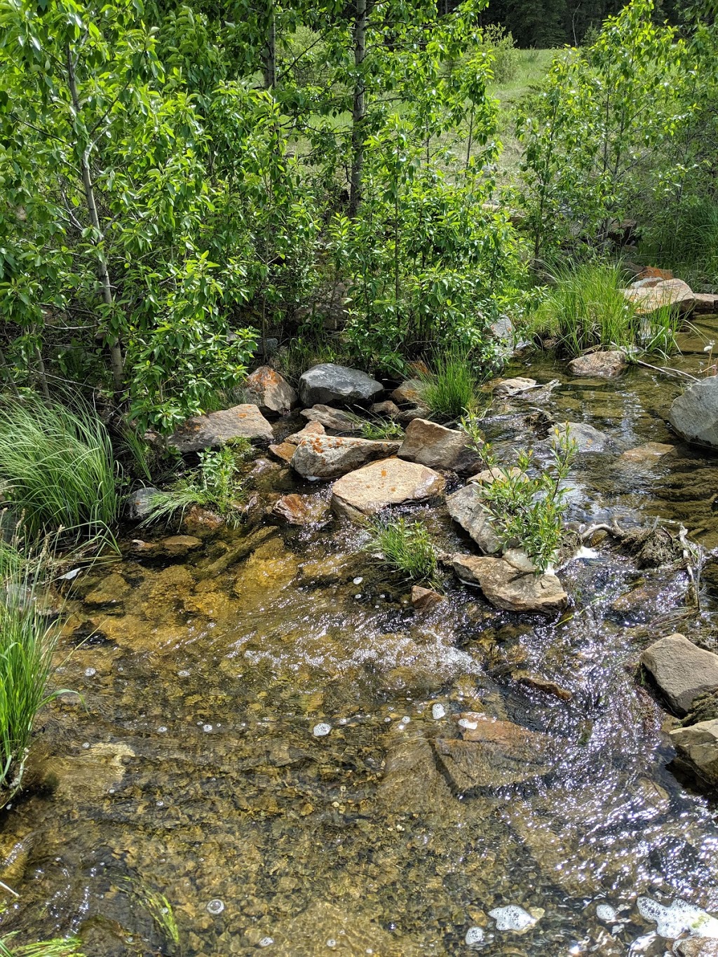 Sibbald Meadows Pond - Provincial Recreation Area | Kananaskis, AB T0L, Canada | Phone: (403) 678-0760