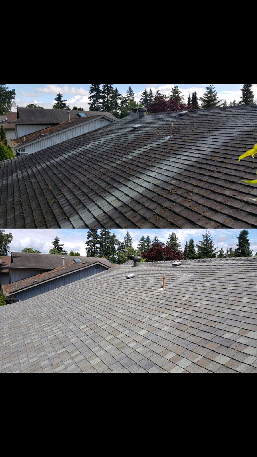 McMartin Roofing | 12470 57a Ave, Surrey, BC V3X 2S6, Canada | Phone: (604) 592-0130