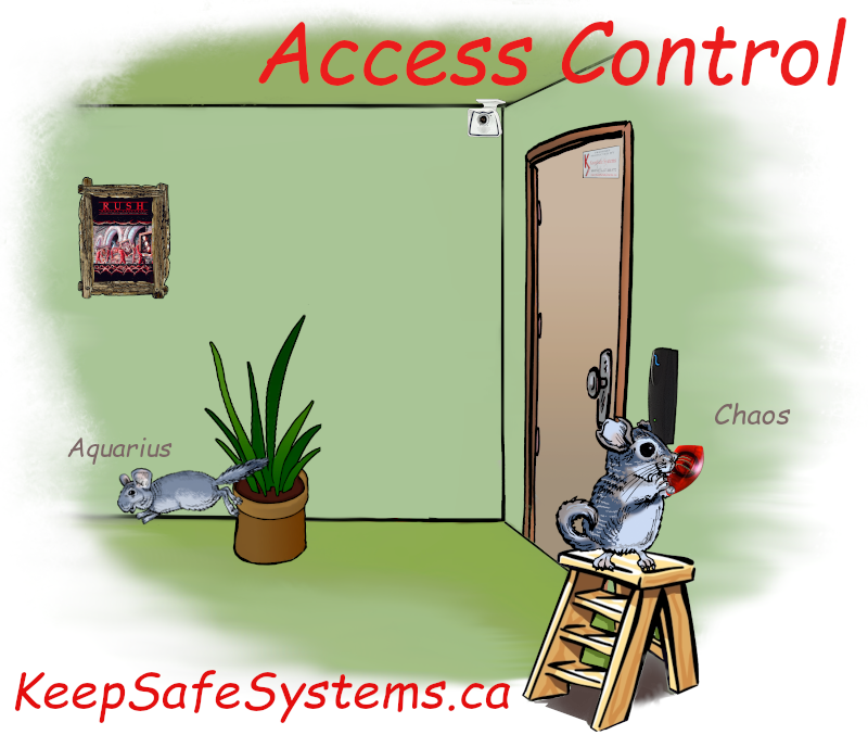 KeepSafe Systems | 6240 Sunwood Dr, Delta, BC V4E 3E2, Canada | Phone: (604) 874-8772