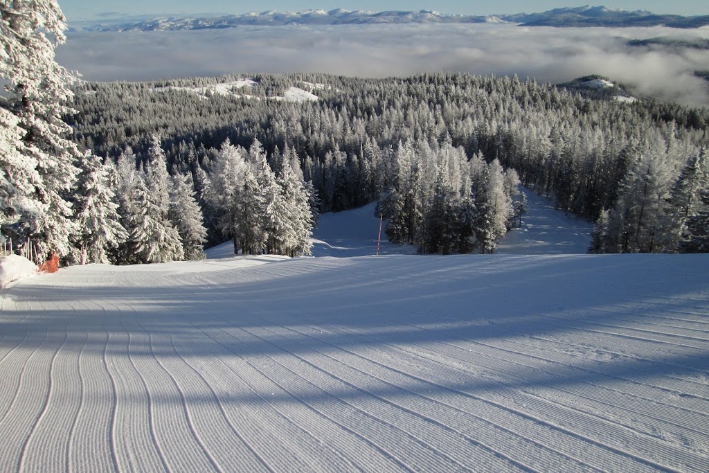 Phoenix Mountain Ski Area | 8000, Phoenix Ski Hill Road, Grand Forks, BC V0H 1H5, Canada | Phone: (250) 444-6565