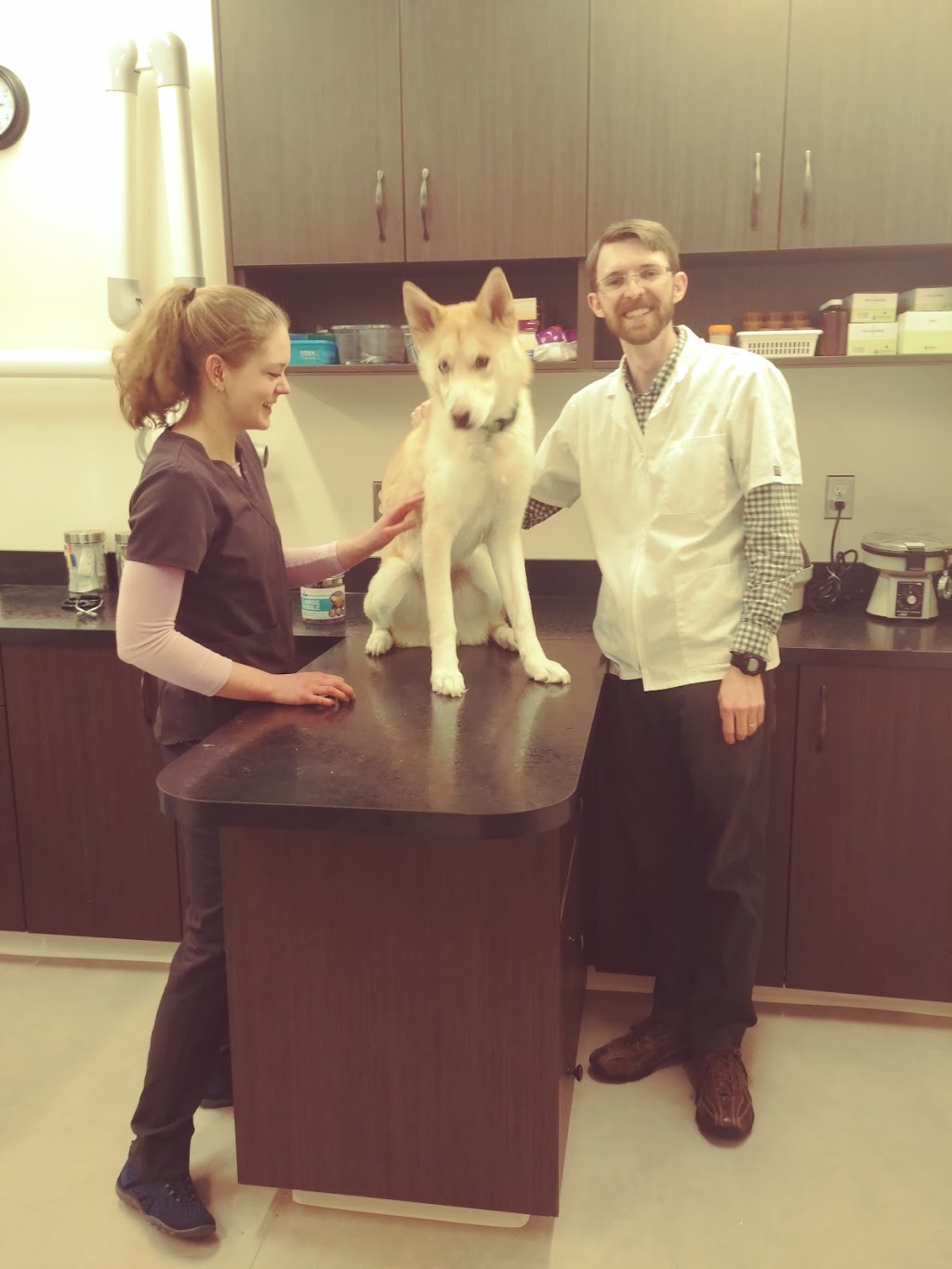 Seasons Veterinary Clinic | 8-655 Sterling Lyon Pkwy, Winnipeg, MB R3K 1M3, Canada | Phone: (204) 477-1293