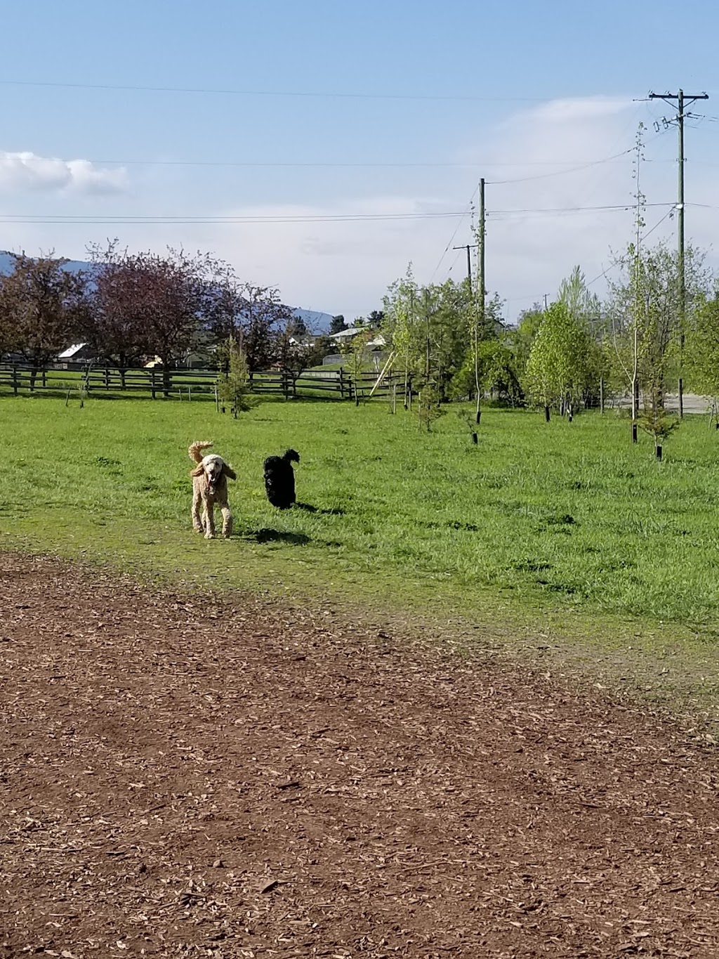 Mutrie Dog Park | 3985 Mutrie Rd, Vernon, BC V1T 9C8, Canada